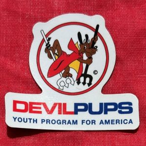 Magnet (“Flat Tire” or Round)